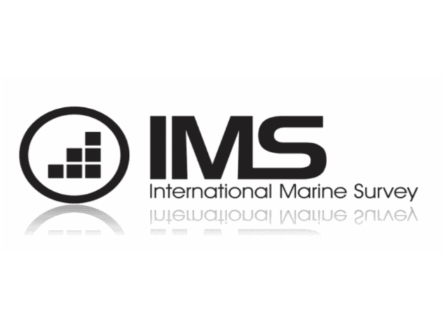 IMS logo