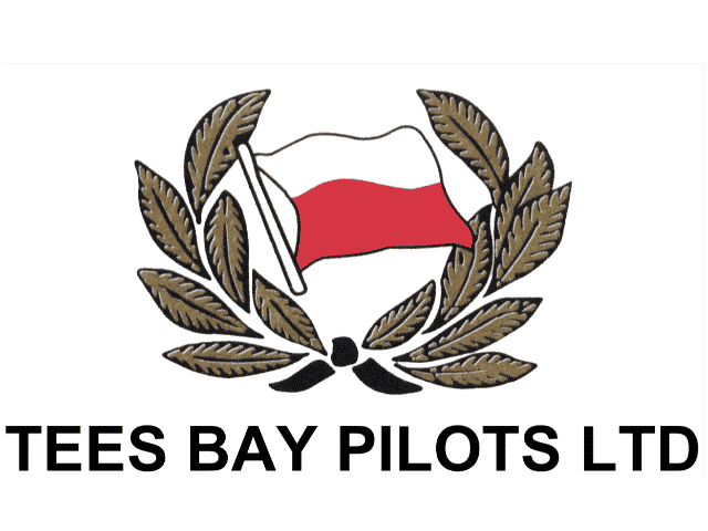 Tees Bay Pilots logo